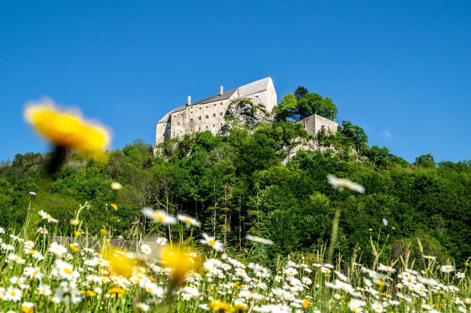 Отель Burg Altpernstein Micheldorf in Oberosterreich Экстерьер фото